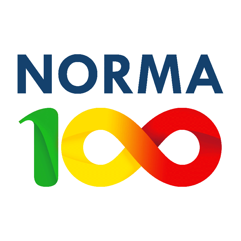 Norma 100